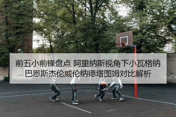 前五小前锋盘点 阿里纳斯视角下小瓦格纳巴恩斯杰伦威伦纳德塔图姆对比解析